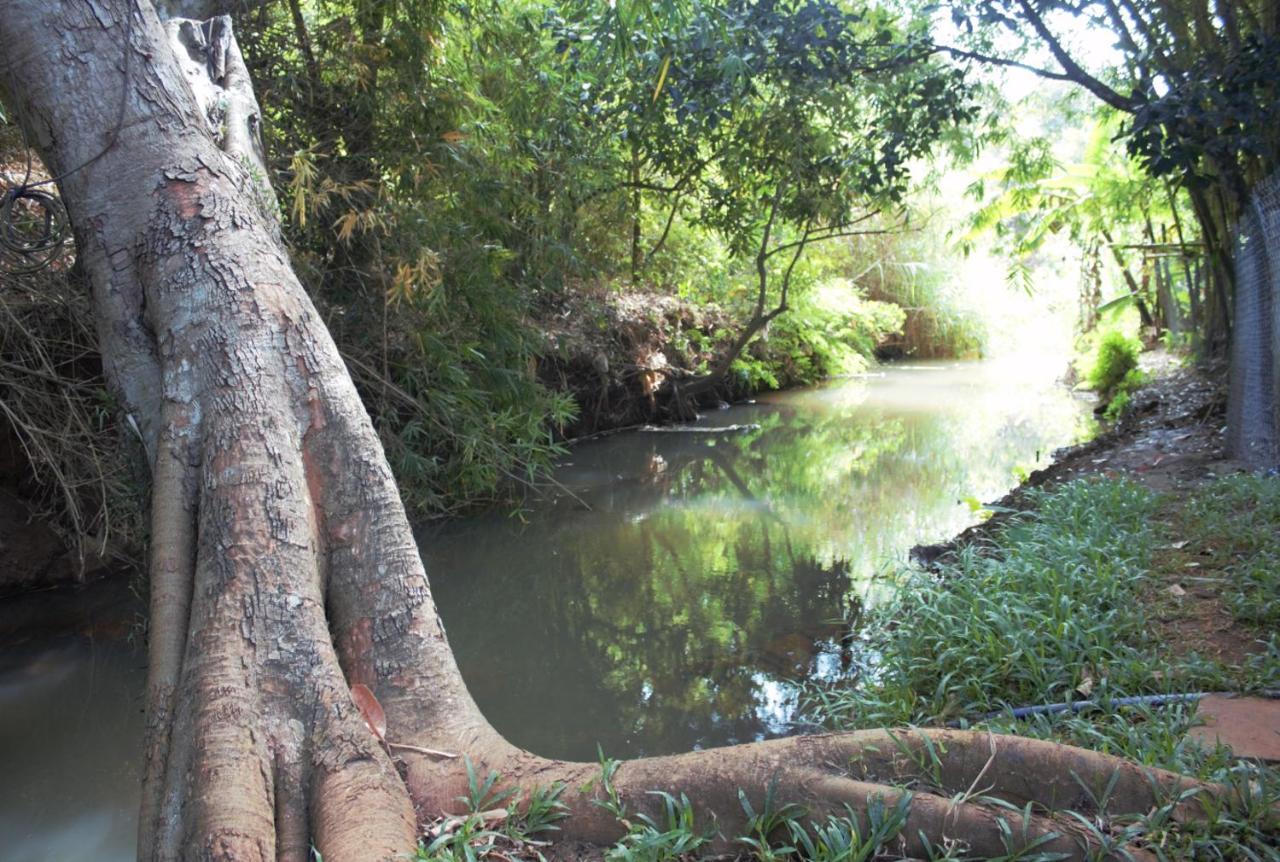 Mondulkiri Pizza Bungalows Senmonorom Buitenkant foto
